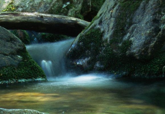 Das Wasser fließt zwischen großen, moosbedeckten Felsen hindurch. Ein Baumstamm liegt quer über dem Bach.