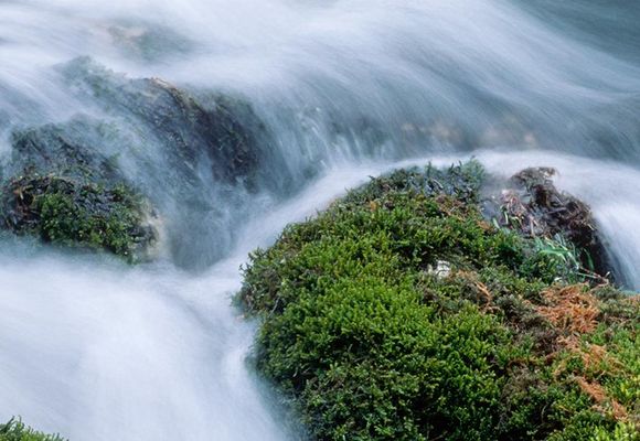 Nahaufnahme ein Fluss mit grasbewachsene Steine